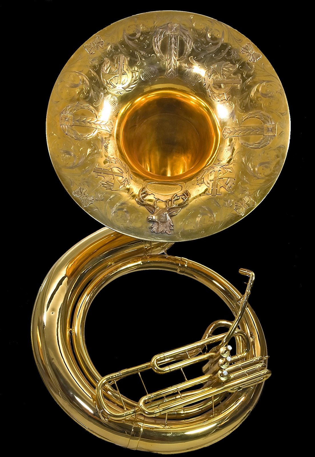 Antonio rossi ARC-100, Instrument à cordes