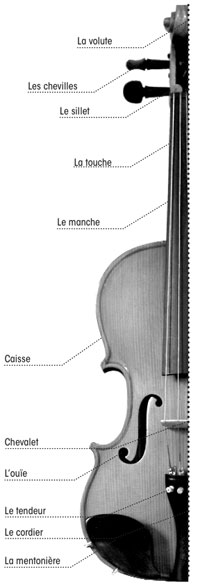 Violon