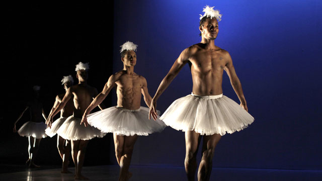 Swan Lake Dance Factory Johannesburg