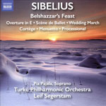 Sibelius Trio 2